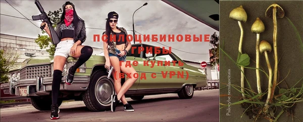 прущие грибы Алзамай