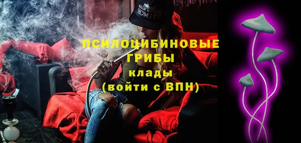 прущие грибы Алзамай