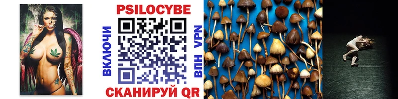где купить   Беломорск  кракен как войти  Галлюциногенные грибы прущие грибы 
